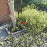 IMG 20260510 164846 10.jpg