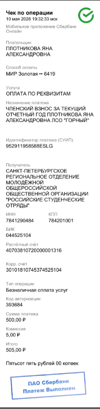 чек рсо.png