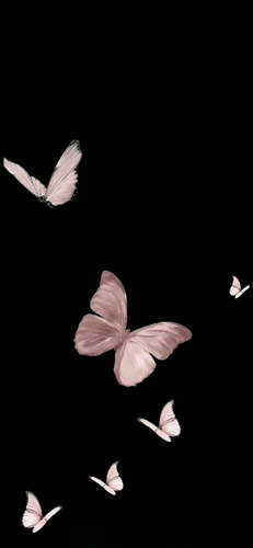 IMG 4258.png