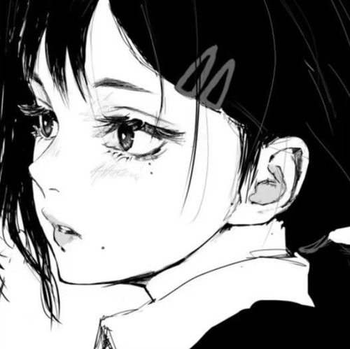 IMG 2290.png