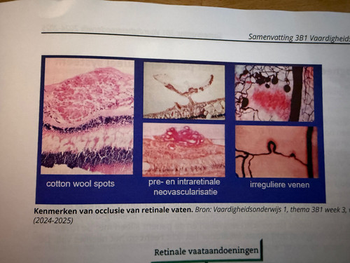 d1a7be0d1339.jpg