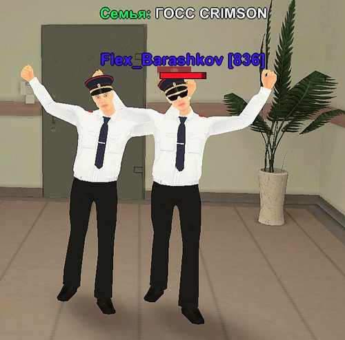 1000035648.jpg