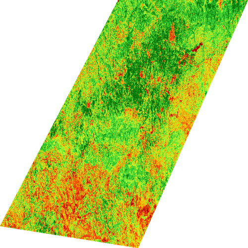 ndvi 1778403189675.png