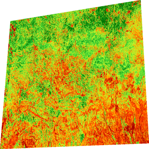 ndvi 1778404843462.png