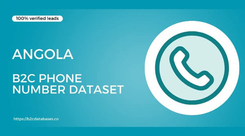 Angola B2C Phone Number Dataset.jpg
