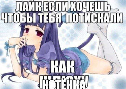 36613.jpg