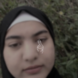 temp.png