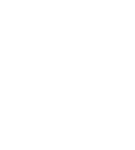 T icone TZ.png
