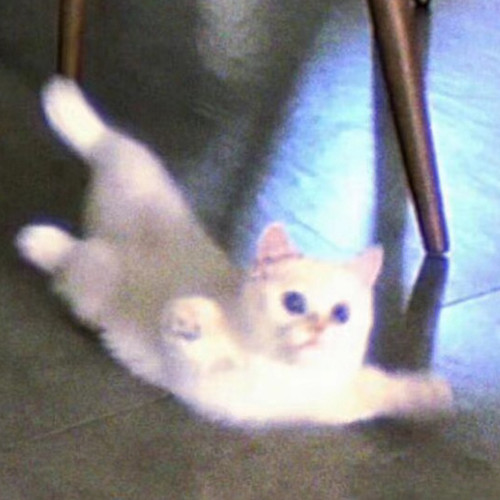IMG 3613.jpg