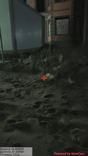IMG 20260511 061342 13.jpg