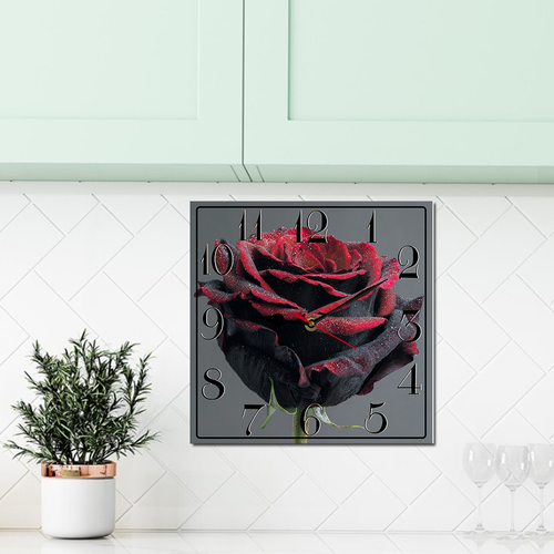 suggestion082212 04865 3 a detailed view of a black rose with p 9b3c6e5a abf0 4400 942c c798d7ee180e.png