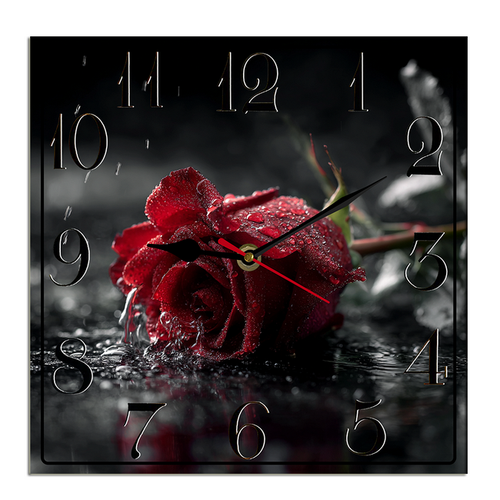 suggestion082212 04865 4 this photograph isolates a single inte e679dcd5 4fa6 4ca9 9402 ca1136b9c737.png