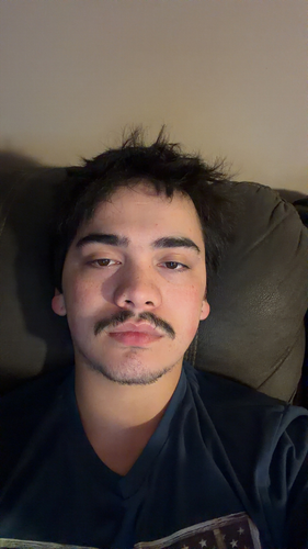 239ab21bd493.png