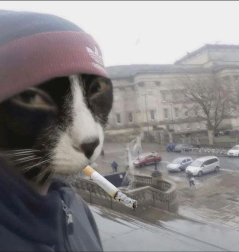 21cf6bffd234f0b37cfa7d80d54f08e4.jpg
