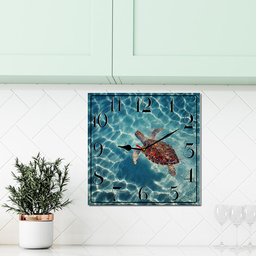 suggestion082212 04865 2 a sea turtle swims in crystal clear li 121ca518 c447 4242 b774 718e725e5dbe.png