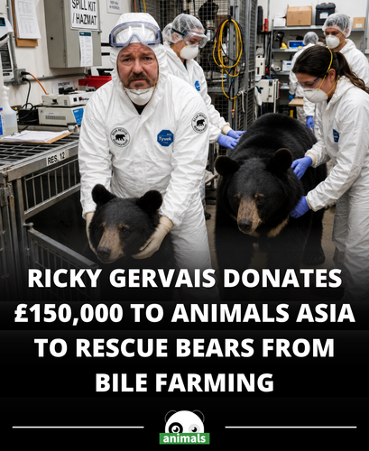 651. As of May 2026, Ricky Gervais has donated £150,000 to Animals Asia to rescue moon bears from bi.png