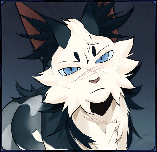 IMG 3454.png