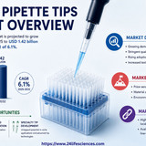 httpswww.24lifesciences.com 2026 05 11T010214.770