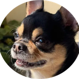 Discord CLr6arNyZI.png