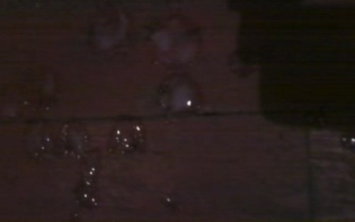 d207c5e.jpg