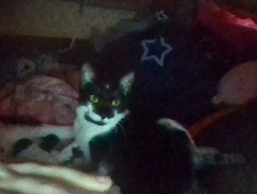 IMG 20260510 090400.jpg