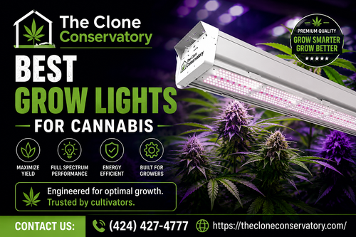 Best Grow Lights For Cannabis.png
