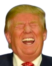 11816.png