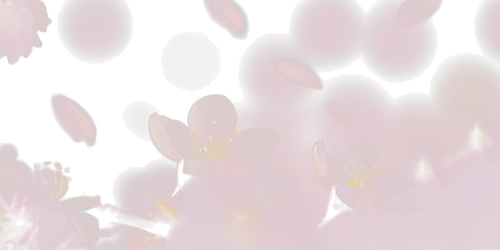 6af336577873.png