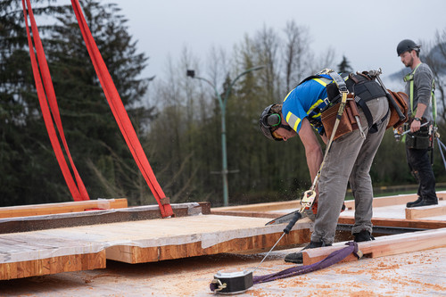 steelwood structure squamish crew cutting timber beam construction.jpg