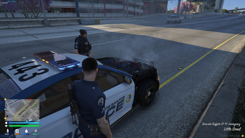 FiveM GTAProcess ZosgpBMPOT.jpg