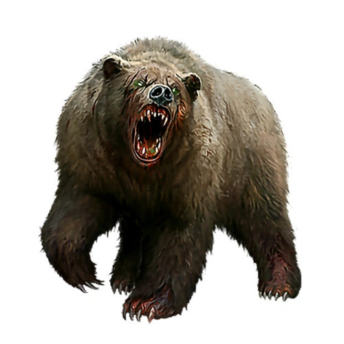 Dire Bear.jpg