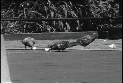 Golliwog’s Cakewalk directed by Christopher Frieri.0:26:35.png
