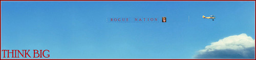 ThinBig Banner.jpg