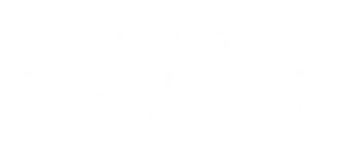 image 4 500x.png.webp