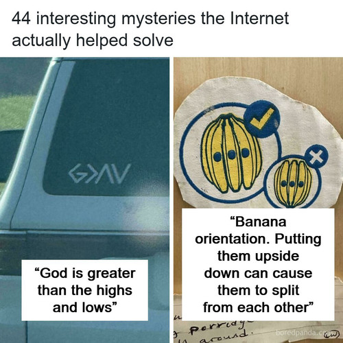curiosities interesting facts.jpg