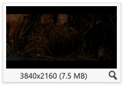 thumb bd35b23ef44cd9c3be686c4ac1a04b52.png