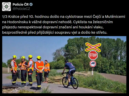 Bez názvu.png