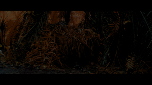  2d94fa72d3e355f95486a8a188fe0ea8.png