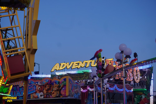 DSC08425 Watermarked.jpg