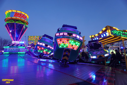 DSC08497 Watermarked.jpg