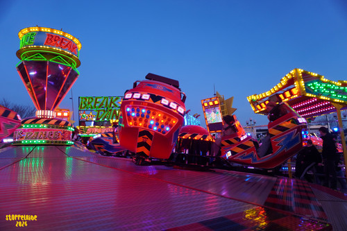 DSC08494 Watermarked.jpg