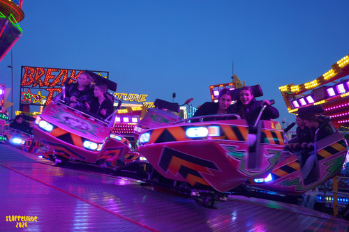 DSC08449 Watermarked.jpg