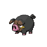 915