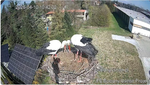 MWSnap928 Kopie.jpg