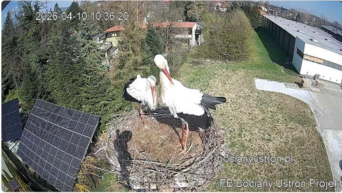 MWSnap927 Kopie.jpg