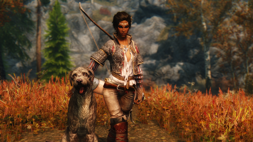 leliana and meeko 18904385754 o