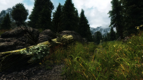 landscape 16926540492 o