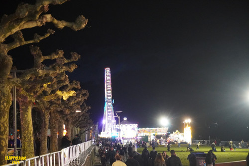 DSC08255 Watermarked.jpg