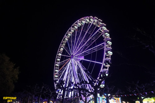 DSC08258 Watermarked.jpg