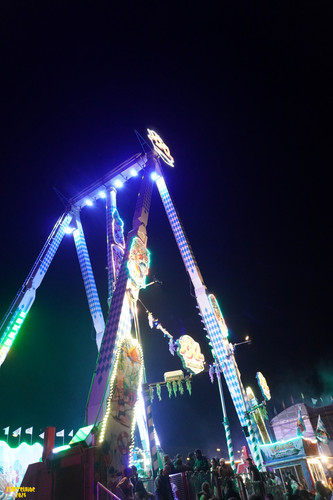 DSC08347 Watermarked.jpg